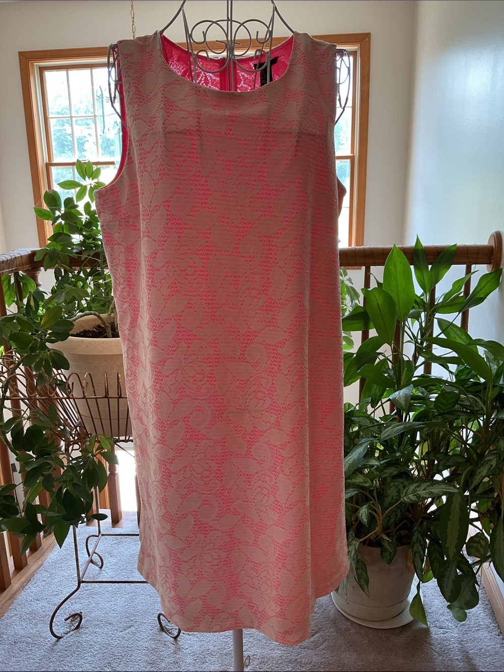 H&M Pink Lace-Overlay A-Line Dress Size Large w/Tag